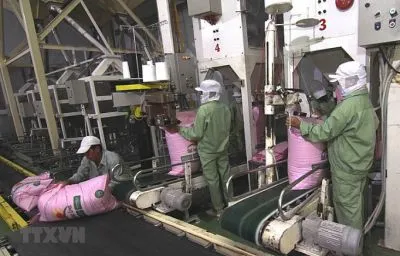 Sản phẩm be28adfff47893c4519c1307dc6b8866_S — Vận Tải Đại Quang Minh - Công Ty TNHH Vận Tải Biển Đại Quang Minh — MST 0314798911