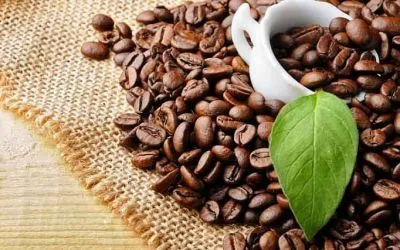 Sản phẩm e9c724eeb5636d1c1c1a2c2e85d40377_S — Vận Tải Đại Quang Minh - Công Ty TNHH Vận Tải Biển Đại Quang Minh — MST 0314798911