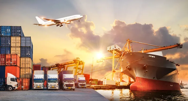 Sản phẩm 3333 — Công Ty TNHH Transimex Logistics Việt Nam — MST 0314803752