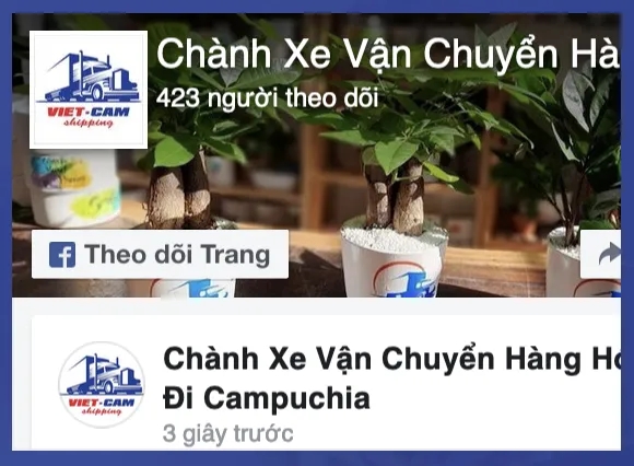 Sản phẩm Anh man hinh 2024 10 17 luc 11.41.01 — Công Ty TNHH Transimex Logistics Việt Nam — MST 0314803752