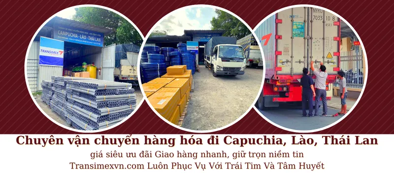 Sản phẩm 123 — Công Ty TNHH Transimex Logistics Việt Nam — MST 0314803752