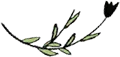 Sản phẩm leaf — Đồ Thủ Công Mỹ Nghệ Safimex - Công Ty Cổ Phần Safimex — MST 0314813888