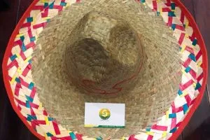 Sản phẩm mexico hat2 300x200 — Đồ Thủ Công Mỹ Nghệ Safimex - Công Ty Cổ Phần Safimex — MST 0314813888