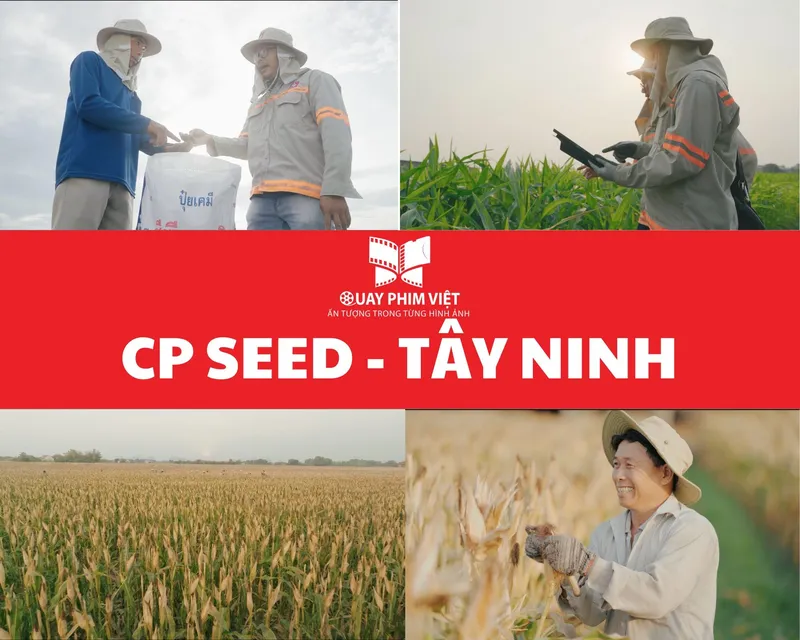Sản phẩm ẢNH GHÉP Website — Công Ty TNHH Quay Phim Việt — MST 0314824720
