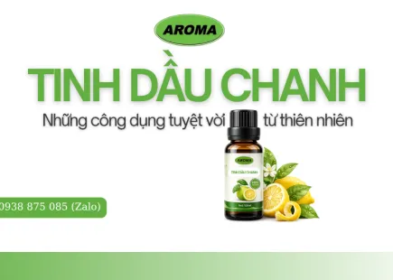 Sản phẩm ban sao cua tinh dau 1 2487 — Công Ty TNHH Thực Phẩm AROMA — MST 0314825668