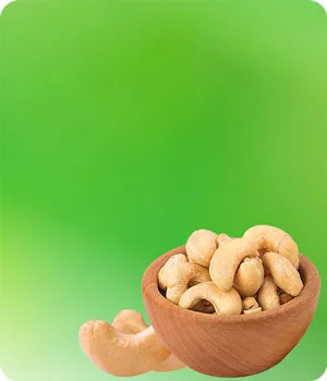 Sản phẩm cashews — Hạt Dinh Dưỡng An Khang - Công Ty Cổ Phần Thực Phẩm An Khang — MST 0314831453
