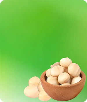 Sản phẩm macadamias — Hạt Dinh Dưỡng An Khang - Công Ty Cổ Phần Thực Phẩm An Khang — MST 0314831453