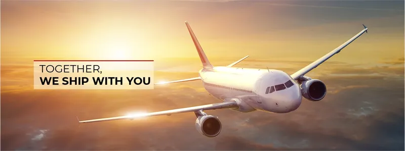 Sản phẩm 589371829627232 — Công Ty TNHH Quốc Tế An Phúc Thịnh — MST 0314837991