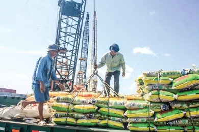 Sản phẩm da70c5e7377e46c4963f991c0416f45a55304 6125 — Công Ty TNHH Quốc Tế An Phúc Thịnh — MST 0314837991