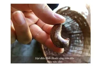 Sản phẩm hat dieu rang muoi binh phuoc dihona 900x600 5_thumb — Công Ty TNHH Thương Mại Dịch Vụ Dihona — MST 0314846241
