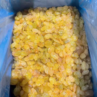 Sản phẩm tem nho kho(900_x_900_px)_thumb — Công Ty TNHH Thương Mại Dịch Vụ Dihona — MST 0314846241
