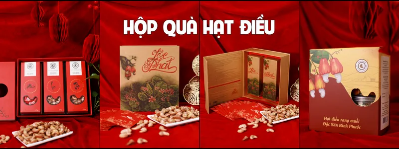 Sản phẩm Hop qua hat dieu binh phuoc 2025 — Công Ty TNHH Thương Mại Dịch Vụ Dihona — MST 0314846241