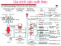 Sản phẩm 90x90_115588578_171047771137272_4911686870586685076_n — Công Ty TNHH Tiến Tiến Đông — MST 0314862525