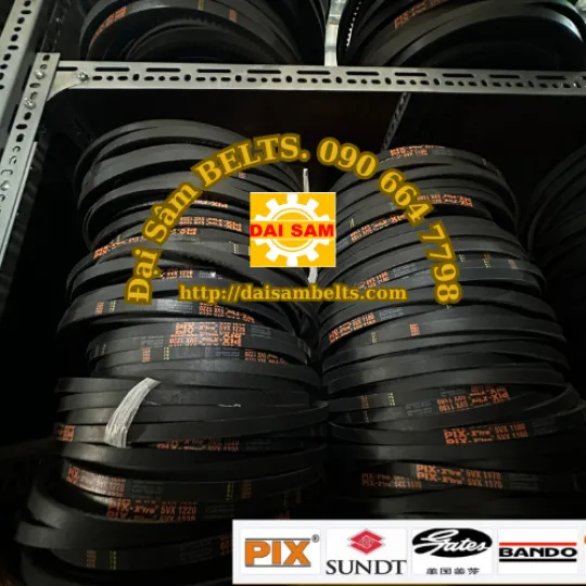 Sản phẩm 5vx pix (2) 2904 — Công Ty TNHH TMDV Đại Sâm — MST 0314870910