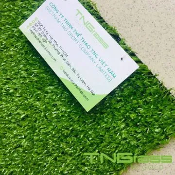 Sản phẩm co nhan tao san vuon s18 11 min 360x360 — Công Ty TNHH Thể Thao TNG Việt Nam — MST 0314874030
