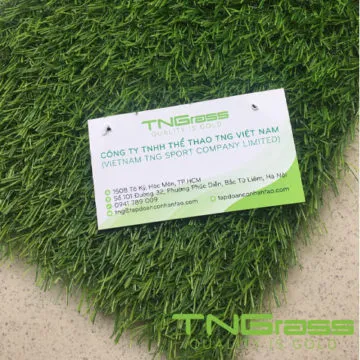 Sản phẩm co nhan tao san vuon s20 21 360x360 — Công Ty TNHH Thể Thao TNG Việt Nam — MST 0314874030