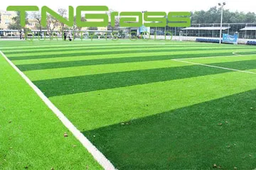 Sản phẩm cham soc co nhan tao san bong 3 — Công Ty TNHH Thể Thao TNG Việt Nam — MST 0314874030