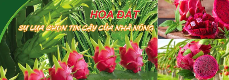 Sản phẩm 325530565995298 — Công Ty Cổ Phần Nông Nghiệp Hoa Đất — MST 0314888298