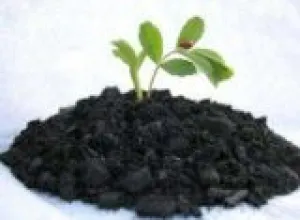Sản phẩm 667390047499 5606 — Công Ty Cổ Phần Nông Nghiệp Hoa Đất — MST 0314888298