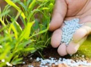 Sản phẩm 712830713100 3369 — Công Ty Cổ Phần Nông Nghiệp Hoa Đất — MST 0314888298