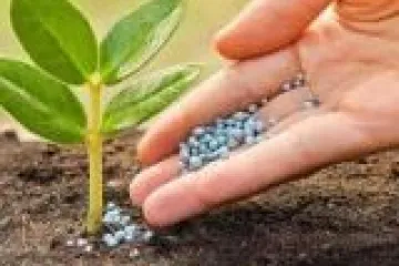 Sản phẩm 562964744562 260 — Công Ty Cổ Phần Nông Nghiệp Hoa Đất — MST 0314888298