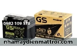 Sản phẩm small_ac quy gs 12v 3 5ah gtz5s e xe future neo wave rs — Công Ty TNHH Năng Lượng Ngọc Việt Phát — MST 0314897140