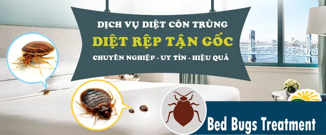 Văn phòng Việt Thành Pest Control - Công Ty TNHH Thương Mại Dịch Vụ Kiểm Soát Côn Trùng
Việt Thành #? — MST 0314905377