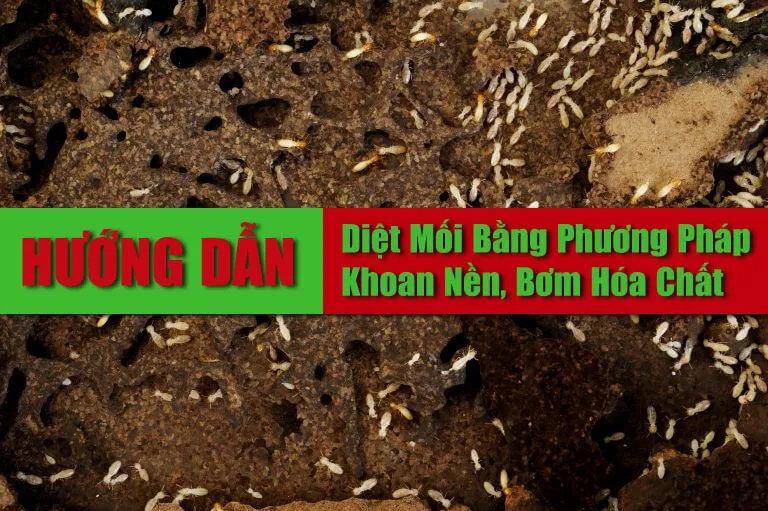 Sản phẩm huong dan cach tu diet moi bang phuong phap sinh hoc — Việt Thành Pest Control - Công Ty TNHH Thương Mại Dịch Vụ Kiểm Soát Côn Trùng
Việt Thành — MST 0314905377