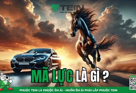 Sản phẩm 1 ma luc bang bao nhieu w1731591312 — Công Ty TNHH Tony Wheel Sport — MST 0314917421