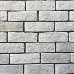 Sản phẩm trang 247x247 — Công Ty Cổ Phần CTS Green Việt Nam — MST 0314917502