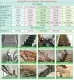 Sản phẩm thanh ttc 6817 — Thiết Kế Thi Công Nhà Đẹp Sài Gòn - Công Ty TNHH Thiết Kế Xây Dựng Mẫu Nhà Đẹp
Sài Gòn — MST 0314920897