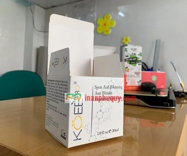 Sản phẩm mau hop my pham dep nam 2019 — In ấn Phú Quý - Công Ty TNHH Một Thành Viên Thiết Kế In ấn Phú Quý — MST 0314943005