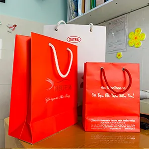 Sản phẩm hinh dich vu in tui giay — In ấn Phú Quý - Công Ty TNHH Một Thành Viên Thiết Kế In ấn Phú Quý — MST 0314943005