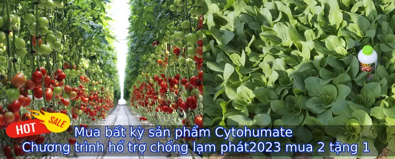 Sản phẩm q 1326 3033 — Công Ty Cổ Phần Giải Pháp GREEN LIFE — MST 0314944584