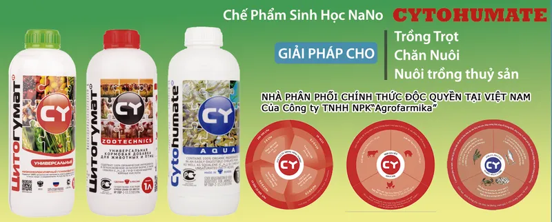 Sản phẩm slide greenlife 6820 — Công Ty Cổ Phần Giải Pháp GREEN LIFE — MST 0314944584