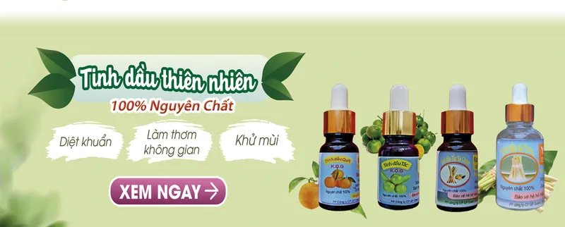 Sản phẩm slide tinh dau 8629 — Công Ty Cổ Phần Giải Pháp GREEN LIFE — MST 0314944584