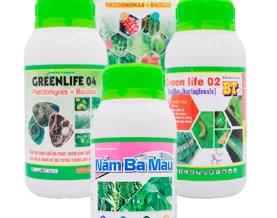 Sản phẩm b 4031 — Công Ty Cổ Phần Giải Pháp GREEN LIFE — MST 0314944584