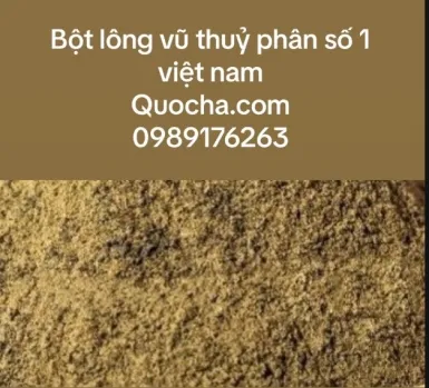 Sản phẩm 385x289 1708768157 single_news1 blvthuyphan — Bột Lông Vũ Thủy Phân Quốc Hà - Công Ty TNHH Dịch Vụ Đầu Tư Và Phát Triển Quốc
Hà — MST 0314947786