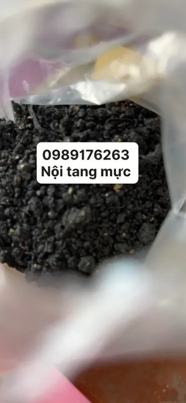 Sản phẩm 385x289 1709362908 single_news1 noitangmuc — Bột Lông Vũ Thủy Phân Quốc Hà - Công Ty TNHH Dịch Vụ Đầu Tư Và Phát Triển Quốc
Hà — MST 0314947786