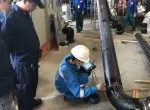 Sản phẩm ong 1 8457 — Công Ty TNHH Kỹ Thuật Samec — MST 0314964862