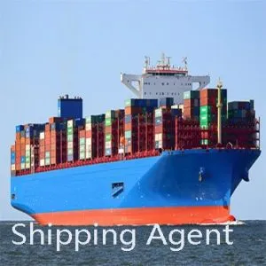 Sản phẩm sửa shipping agent 300x300 — Công Ty TNHH Liên Kết Hàng Hải — MST 0314994666