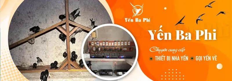Sản phẩm 1732270841silde2.png — Công Ty TNHH Yến Ba Phi — MST 0315020306