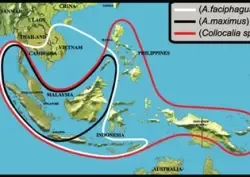 Sản phẩm ban do phan bo yen sao 2396.jpg — Công Ty TNHH Yến Ba Phi — MST 0315020306