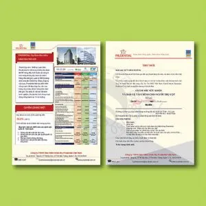Sản phẩm invinhphat in to roi to gap brochure 14 300x300 — In Thành Danh - Công Ty TNHH In Ấn Thành Danh — MST 0315036095