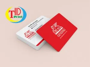 Sản phẩm in namecard gia re thanh danh 08 300x225 — In Thành Danh - Công Ty TNHH In Ấn Thành Danh — MST 0315036095