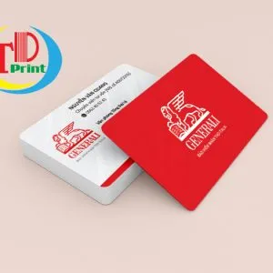 Sản phẩm in namecard gia re thanh danh 08 300x300 — In Thành Danh - Công Ty TNHH In Ấn Thành Danh — MST 0315036095