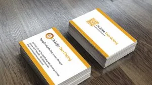 Sản phẩm in card visit da nang thanhdanh 300x169 — In Thành Danh - Công Ty TNHH In Ấn Thành Danh — MST 0315036095