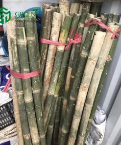 Sản phẩm 31 247x296 — Công Ty Cổ Phần Green Sculpture — MST 0315039554