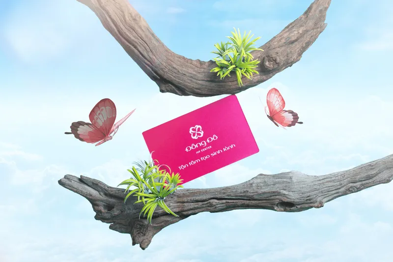 Sản phẩm Dong Do IVF Center Cover scaled — Xây Dựng Thương Hiệu Vũ Digital - Công Ty TNHH Vũ Digital — MST 0315041024