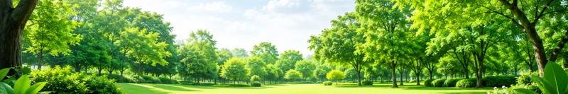 Sản phẩm thiet ke chua co ten 7 6635 — Công Ty TNHH Hưng Việt Plus — MST 0315049778